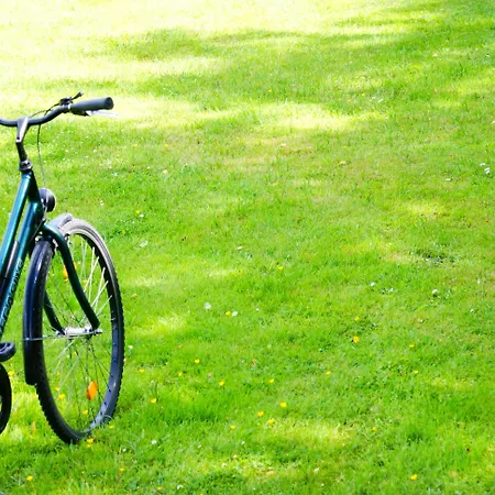 Heart Of Gold & Capsules Hostal *