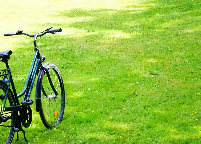 Heart Of Gold & Capsules Hostal *